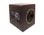 AE 22 Active Sub Woofer