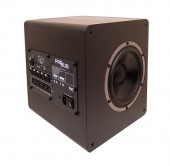 AE 22 Active Sub Woofer